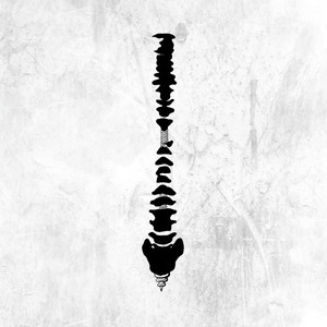 国产成人8x人网站视频
