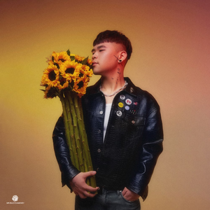 国产成人8x人网站视频
