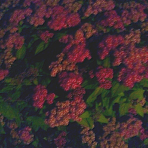 国产成人8x人网站视频
