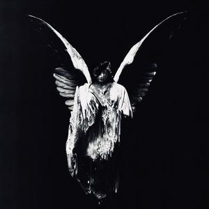 国产成人8x人网站视频
