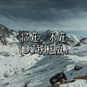 国产成人8x人网站视频
