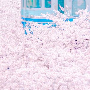 国产成人8x人网站视频
