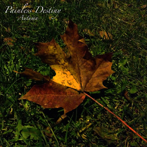 国产成人8x人网站视频
